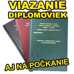 diplomovky partizanske