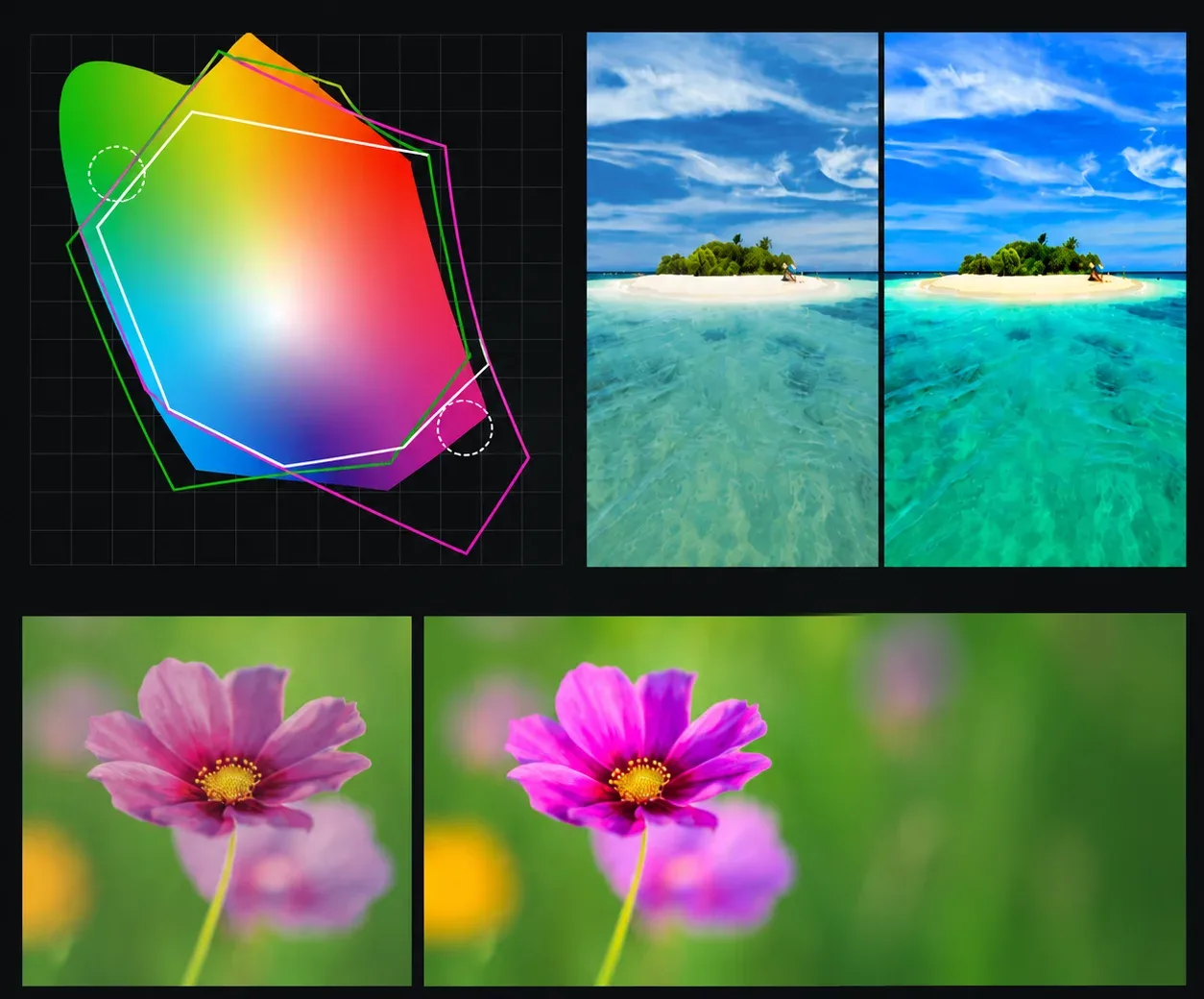 Porovnanie farebného gamutu CMYK vs High Chroma – rozšírený rozsah sýtych farieb